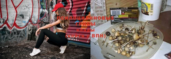 круглые Каменка
