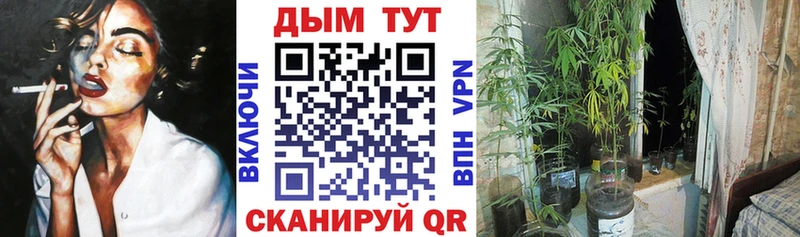 Бошки Шишки Amnesia  Купить где  Новоаннинский 